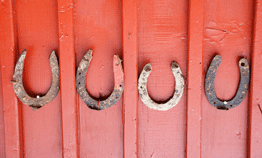Horse shoes in a row.